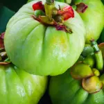 Dimagrire in fretta con Garcinia Cambogia: si può?