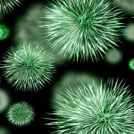 Super-batteri che minacciano la salute globale, OMS pubblica lista ricercati speciali