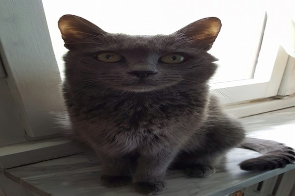 News Uomini e Donne, Gemma Galgani è disperata