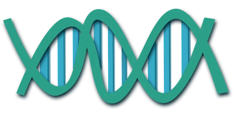 Genoma umano sintetico, convegno segreto a Boston secondo il New York Times