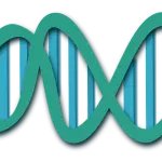 Genoma umano sintetico, convegno segreto a Boston secondo il New York Times