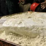 Johnson & Johnson perde una causa sul talco, risarcimento milionario ad una donna