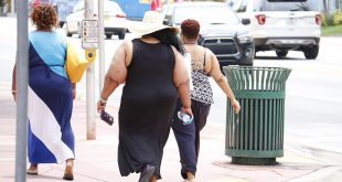 Obesità può essere contagiosa con lo scambio di flora batterica